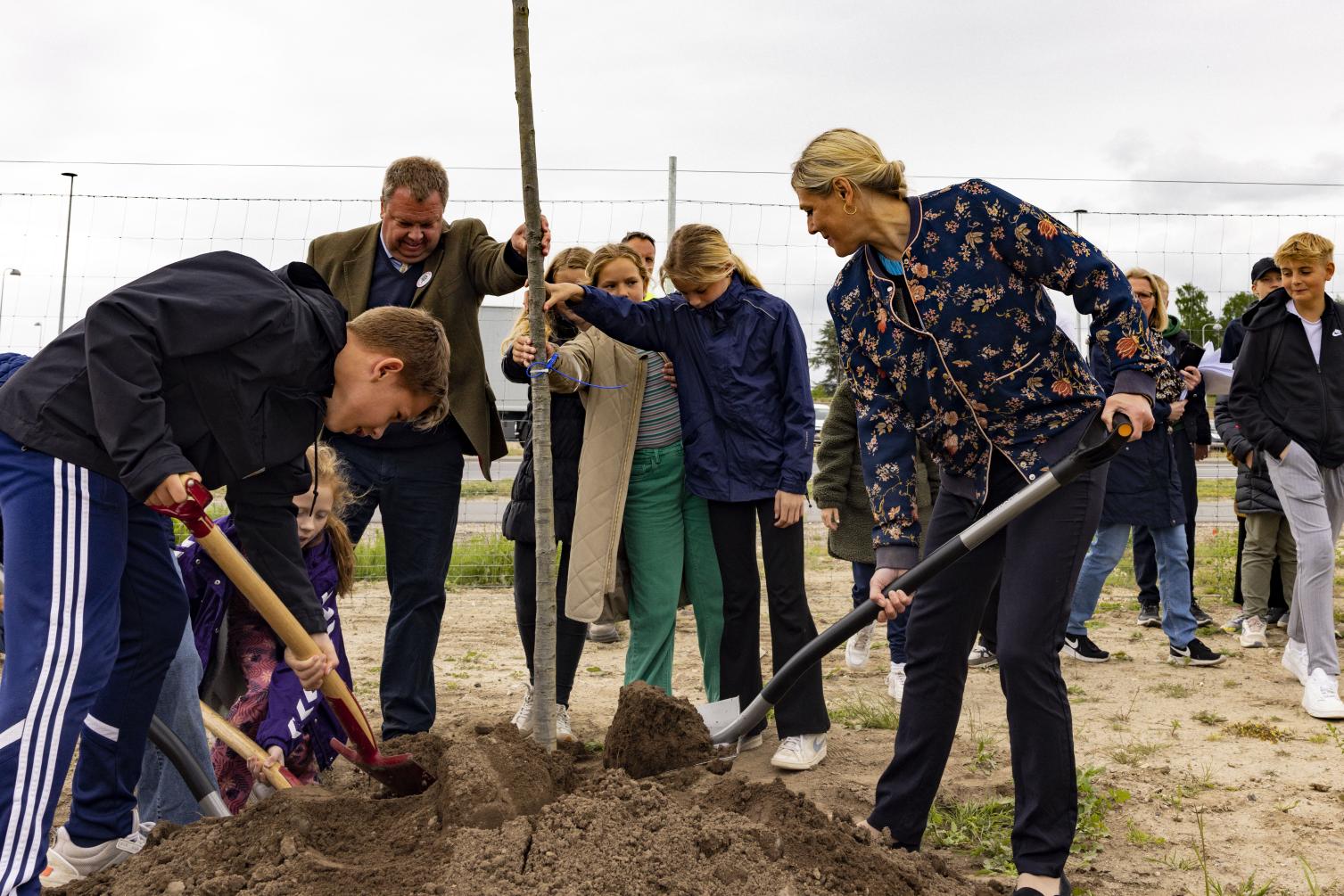 140 massevis træer ny skoleskov på Fyn | Vejdirektoratet
