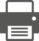 Udskriv side